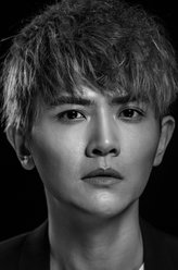 风起洛阳东川王